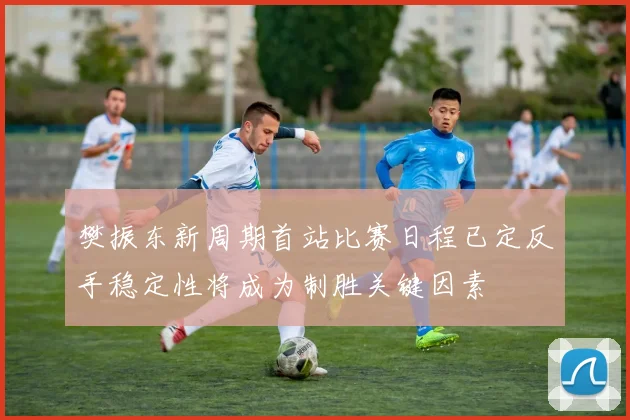樊振东新周期首站比赛日程已定反手稳定性将成为制胜关键因素